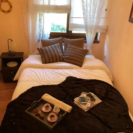 Cozy Arájova